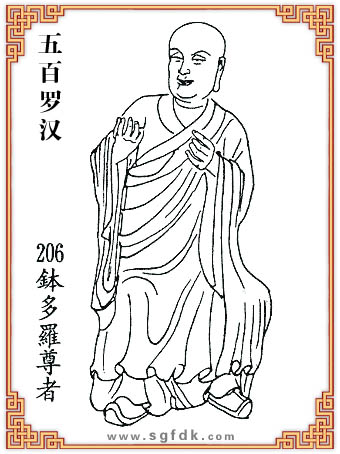 ����_�h-206�\���_����