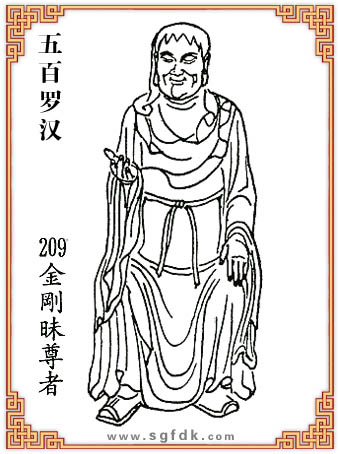 ����_�h-209����������