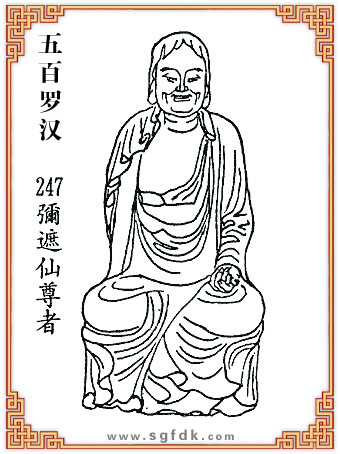 ����_�h-247����������